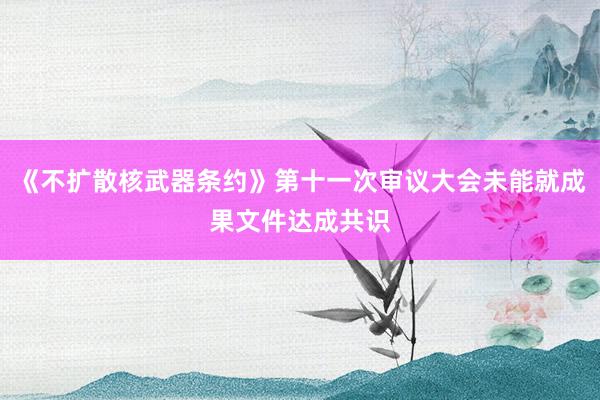 《不扩散核武器条约》第十一次审议大会未能就成果文件达成共识