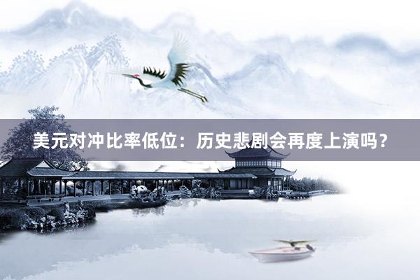 美元对冲比率低位：历史悲剧会再度上演吗？