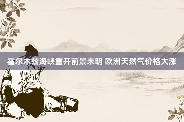 霍尔木兹海峡重开前景未明 欧洲天然气价格大涨