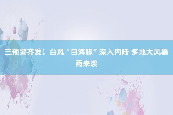 三预警齐发！台风“白海豚”深入内陆 多地大风暴雨来袭