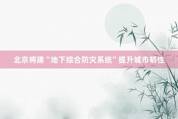 北京将建“地下综合防灾系统”提升城市韧性