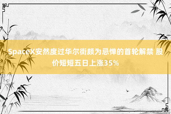 SpaceX安然度过华尔街颇为忌惮的首轮解禁 股价短短五日上涨35%