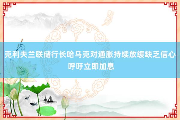 克利夫兰联储行长哈马克对通胀持续放缓缺乏信心 呼吁立即加息