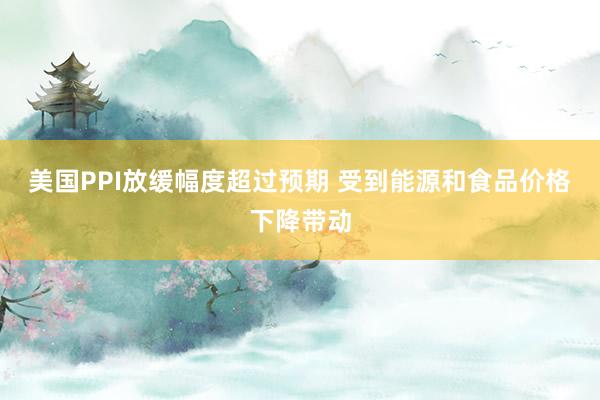 美国PPI放缓幅度超过预期 受到能源和食品价格下降带动