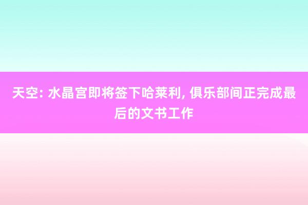 天空: 水晶宫即将签下哈莱利, 俱乐部间正完成最后的文书工作