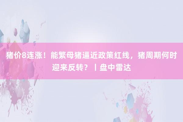 猪价8连涨！能繁母猪逼近政策红线，猪周期何时迎来反转？丨盘中雷达