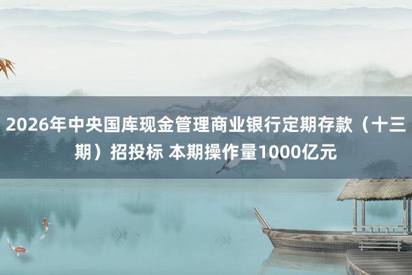 2026年中央国库现金管理商业银行定期存款（十三期）招投标 本期操作量1000亿元