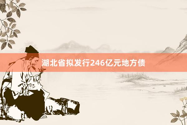 湖北省拟发行246亿元地方债