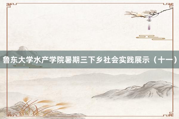 鲁东大学水产学院暑期三下乡社会实践展示（十一）