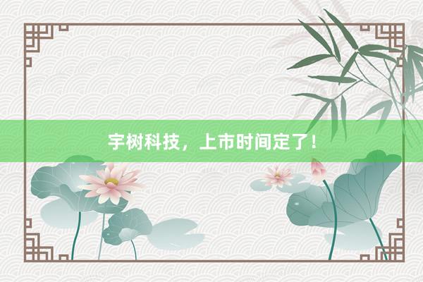 宇树科技，上市时间定了！