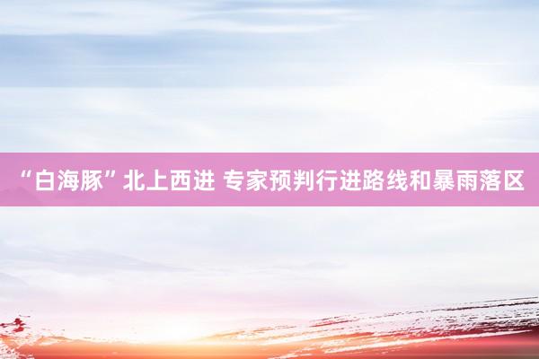“白海豚”北上西进 专家预判行进路线和暴雨落区
