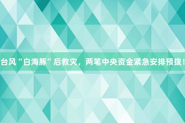 台风“白海豚”后救灾，两笔中央资金紧急安排预拨！