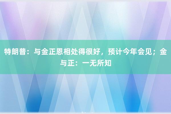 特朗普：与金正恩相处得很好，预计今年会见；金与正：一无所知