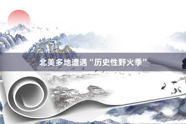 北美多地遭遇“历史性野火季”
