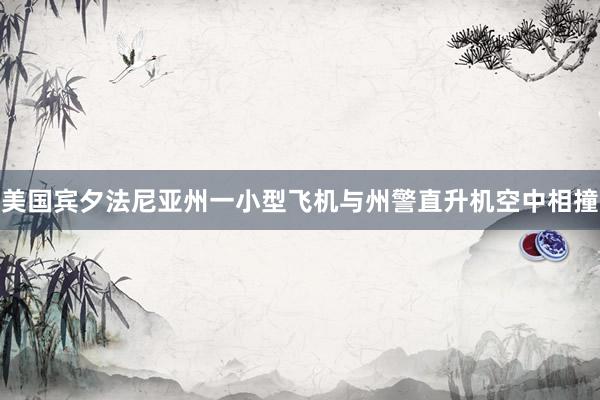 美国宾夕法尼亚州一小型飞机与州警直升机空中相撞