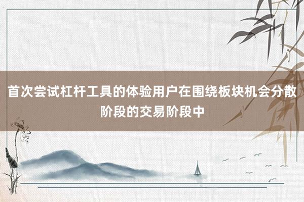 首次尝试杠杆工具的体验用户在围绕板块机会分散阶段的交易阶段中