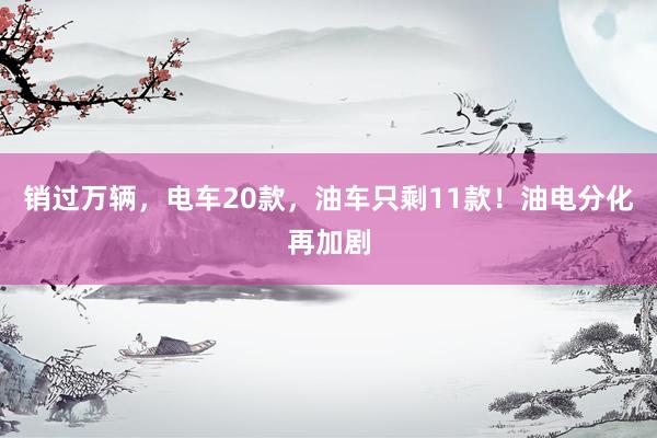 销过万辆，电车20款，油车只剩11款！油电分化再加剧