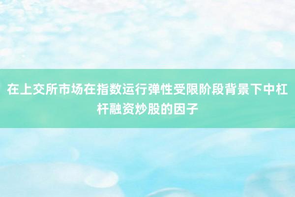 在上交所市场在指数运行弹性受限阶段背景下中杠杆融资炒股的因子