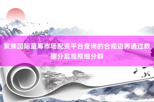 聚焦国际蓝筹市场配资平台查询的合规边界通过数据分层观察细分群
