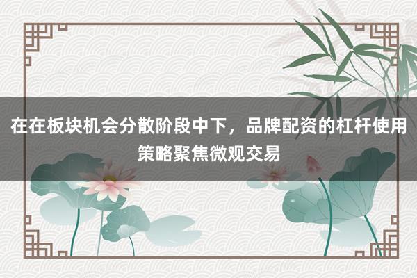 在在板块机会分散阶段中下，品牌配资的杠杆使用策略聚焦微观交易
