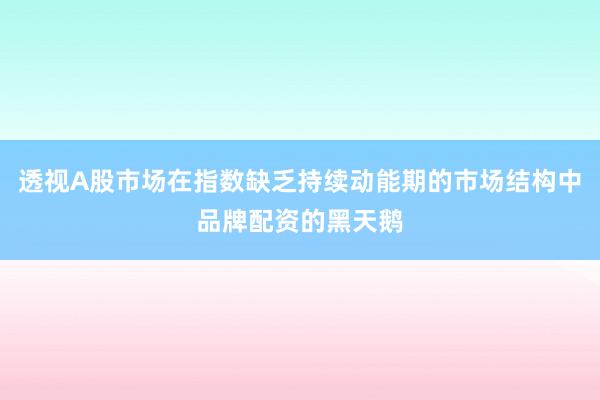 透视A股市场在指数缺乏持续动能期的市场结构中品牌配资的黑天鹅