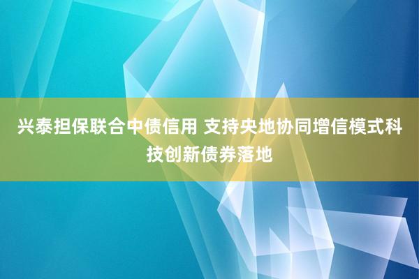 兴泰担保联合中债信用 支持央地协同增信模式科技创新债券落地