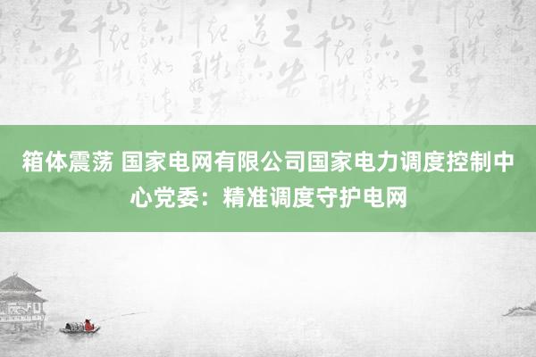 箱体震荡 国家电网有限公司国家电力调度控制中心党委：精准调度守护电网