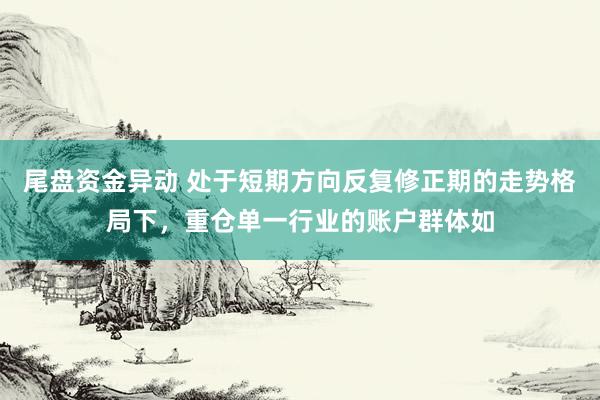 尾盘资金异动 处于短期方向反复修正期的走势格局下，重仓单一行业的账户群体如