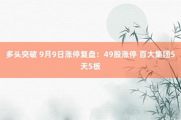 多头突破 9月9日涨停复盘：49股涨停 百大集团5天5板