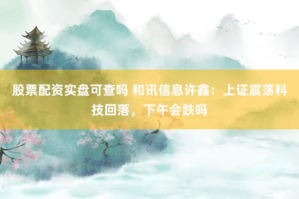 股票配资实盘可查吗 和讯信息许鑫：上证震荡科技回落，下午会跌吗