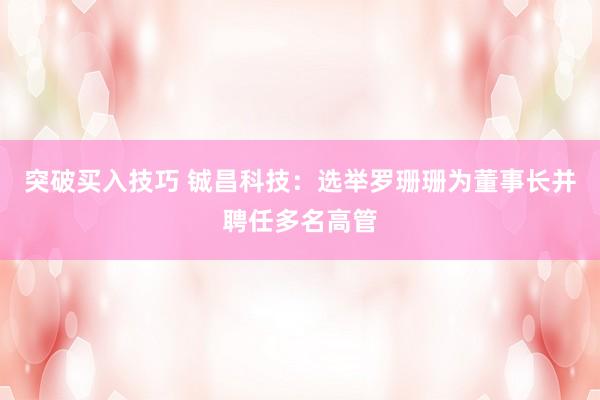 突破买入技巧 铖昌科技：选举罗珊珊为董事长并聘任多名高管