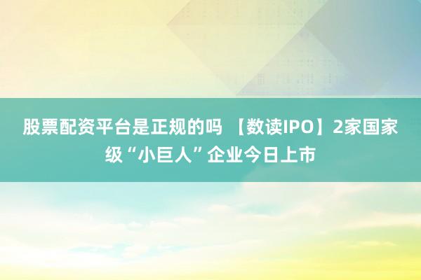 股票配资平台是正规的吗 【数读IPO】2家国家级“小巨人”企业今日上市