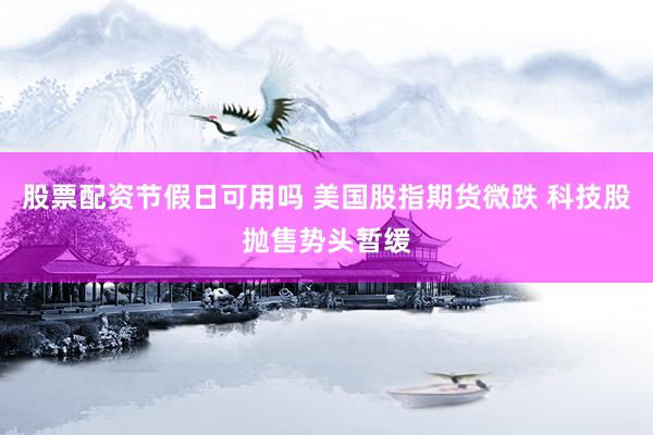 股票配资节假日可用吗 美国股指期货微跌 科技股抛售势头暂缓
