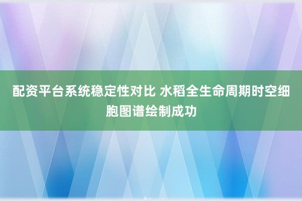 配资平台系统稳定性对比 水稻全生命周期时空细胞图谱绘制成功